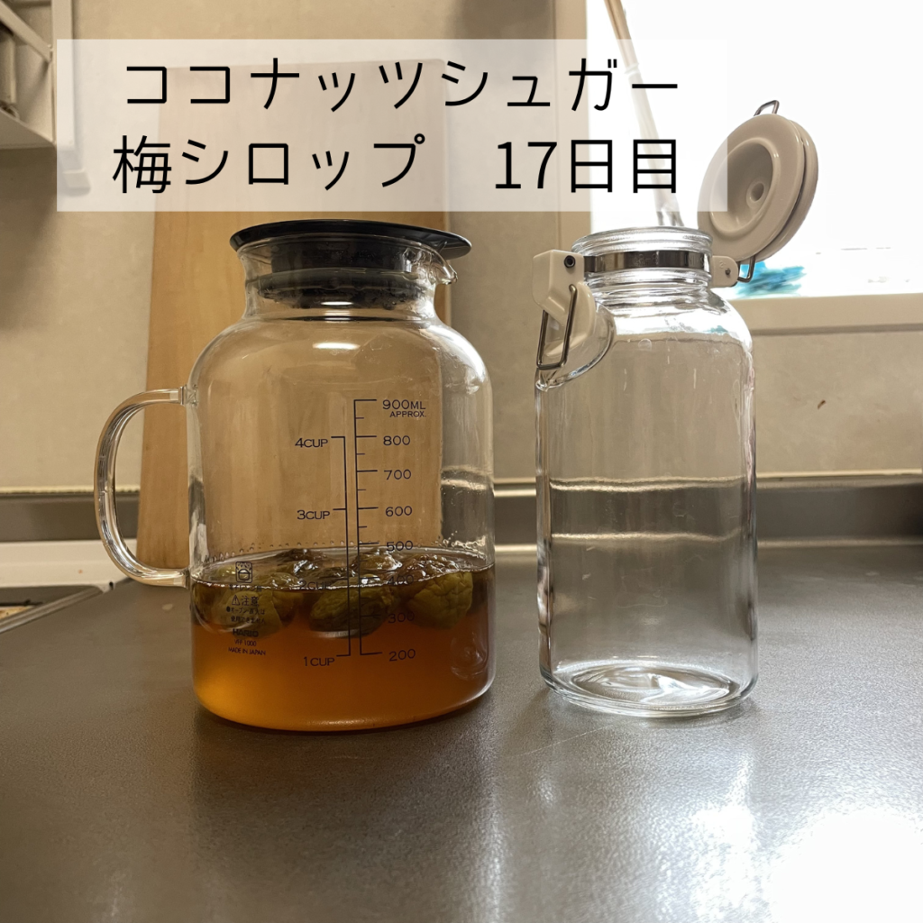 梅シロップ（ココナツシュガー）の17日目の写真