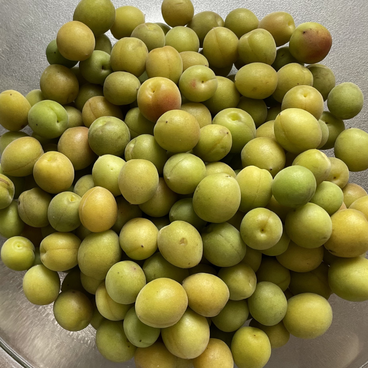 カリカリ小梅の材料の写真