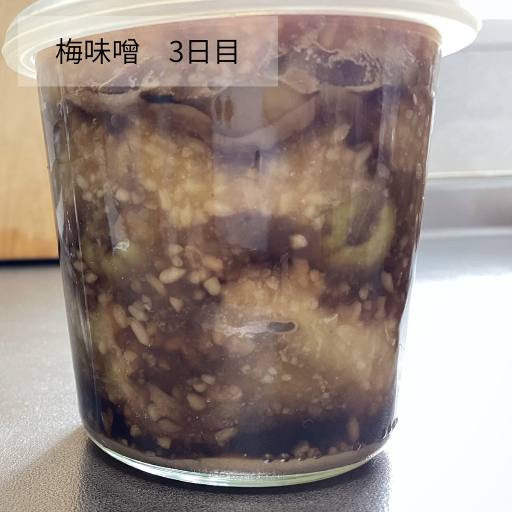 梅味噌3日目の写真