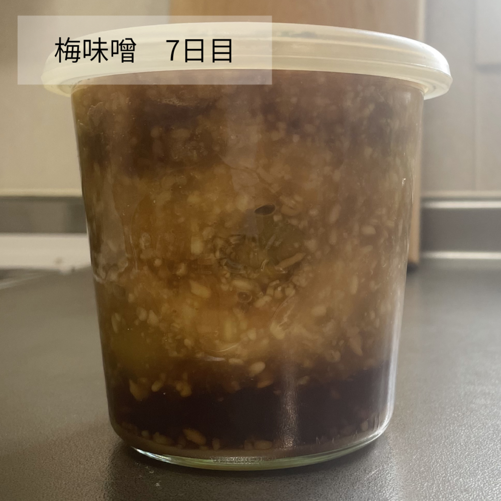 梅味噌7日目の写真