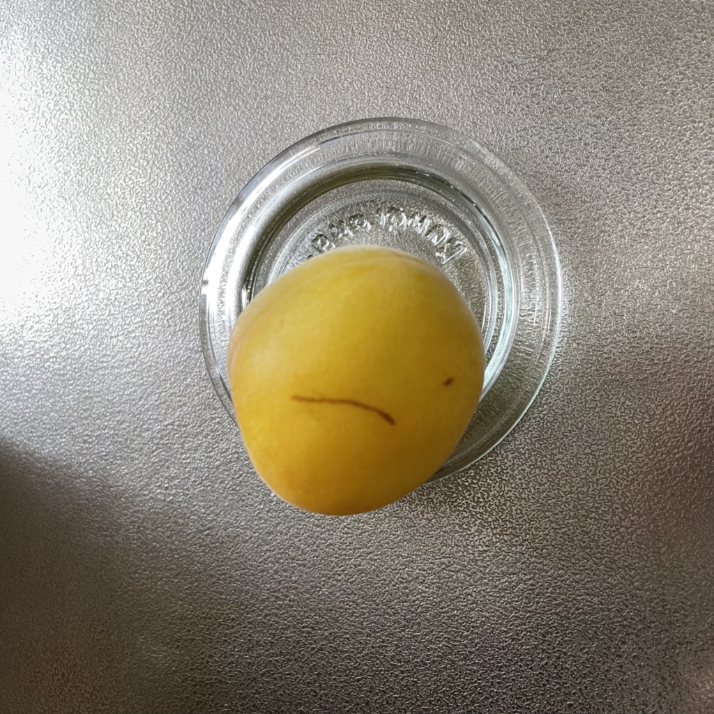 完熟梅の傷の写真