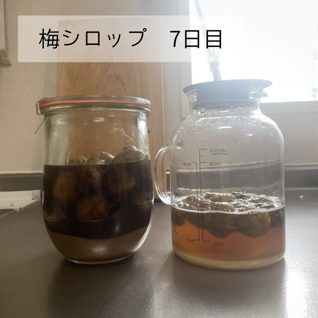 梅シロップ2種の7日目の写真