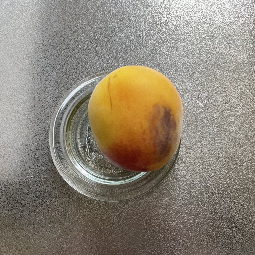 完熟梅の傷の写真