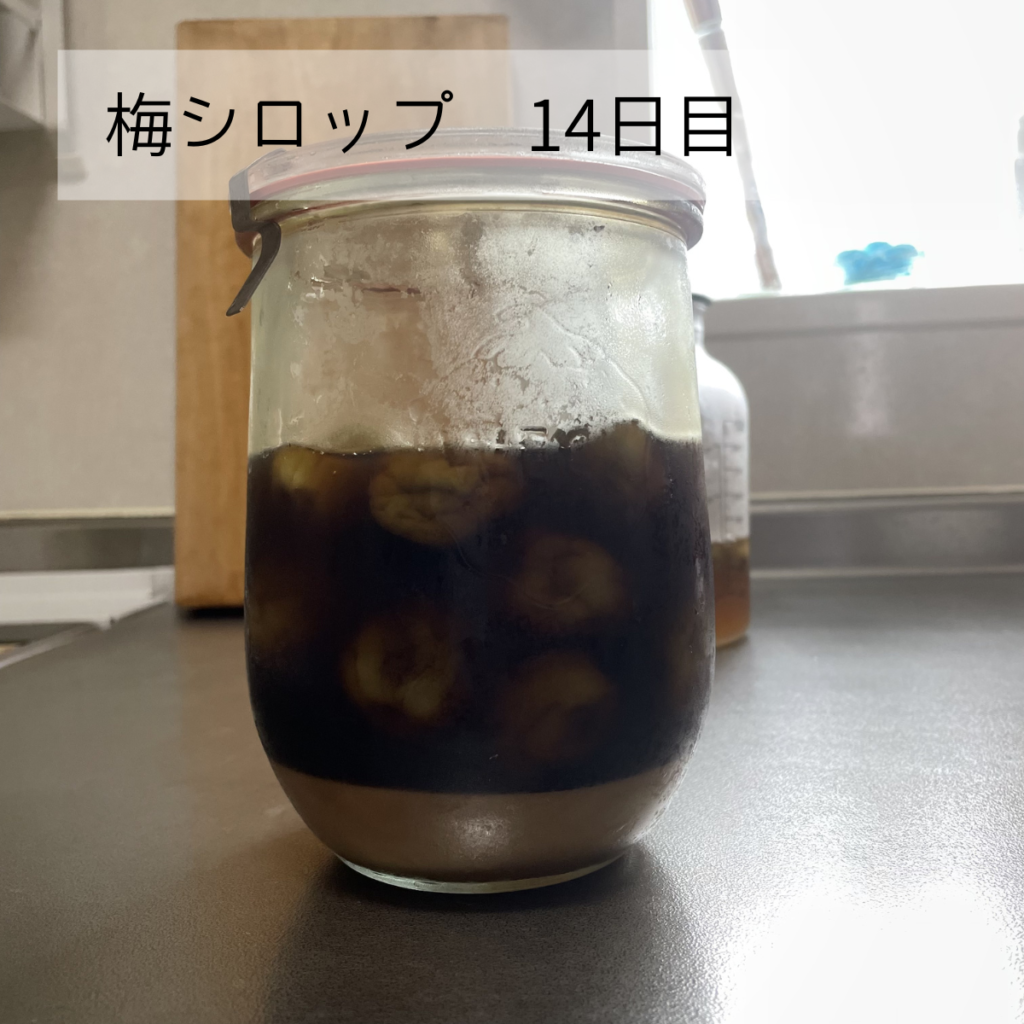 梅シロップ（きび砂糖）の14日目の写真
