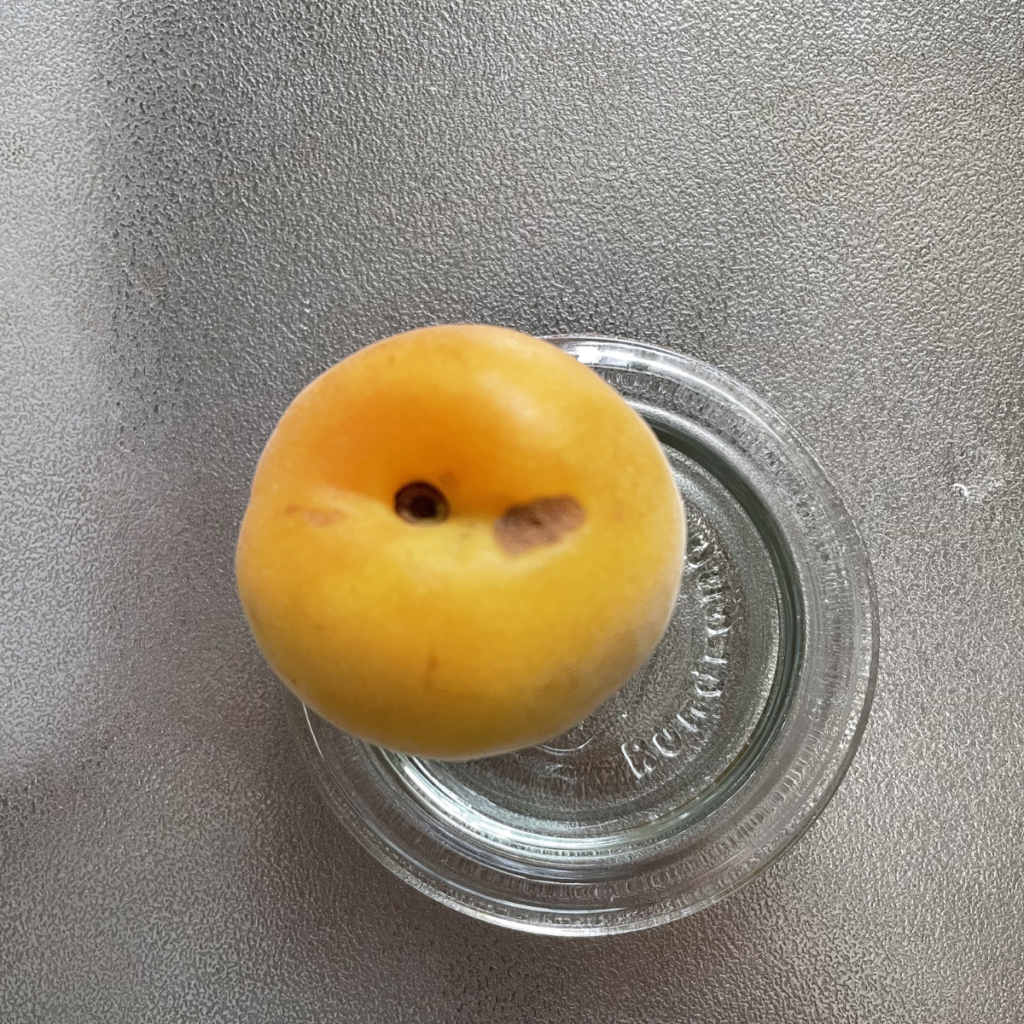 完熟梅の傷の写真