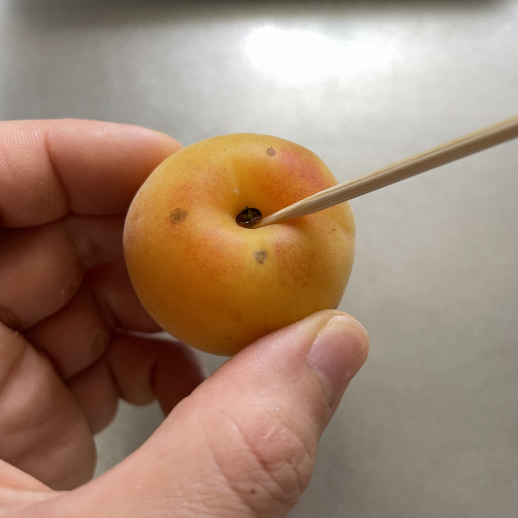 完熟梅のヘタ取りの写真
