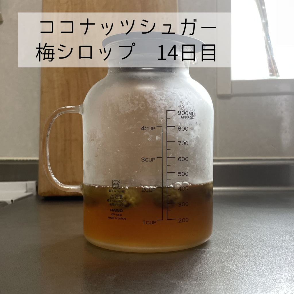 梅シロップ（ココナツシュガー）の14日目の写真